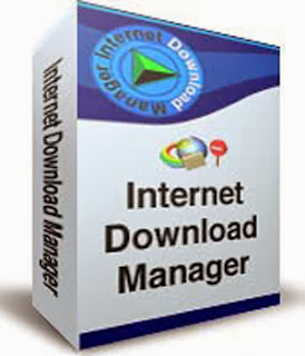 Download IDM Terbaru 2013