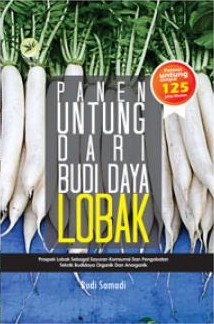 Panen Untung Dari Budi Daya Lobak