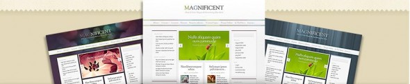 Magnificent WordPress Theme 