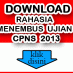 Download soal-soal CPNS 2013 Gratis